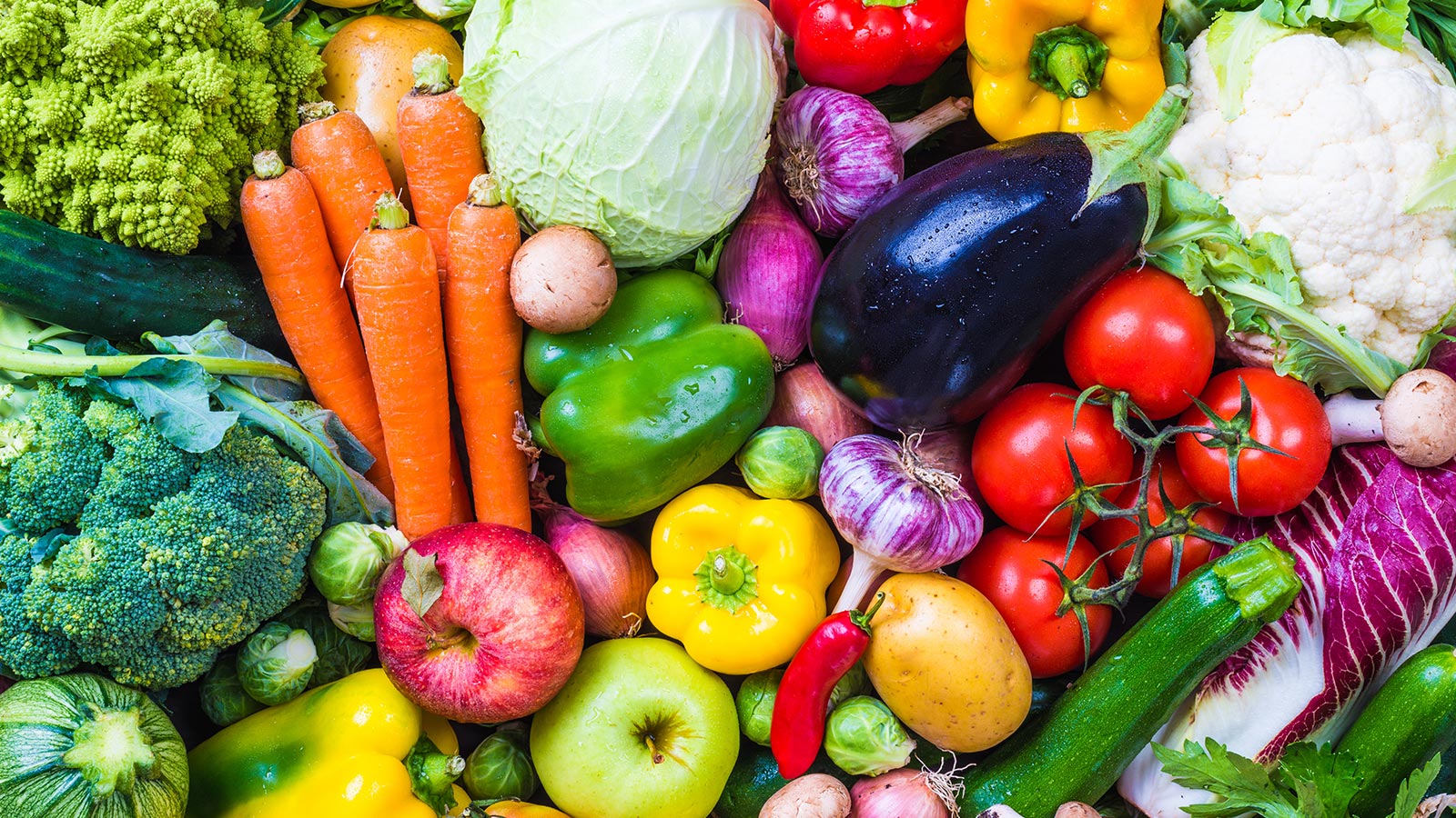 verduras mediterraneas 